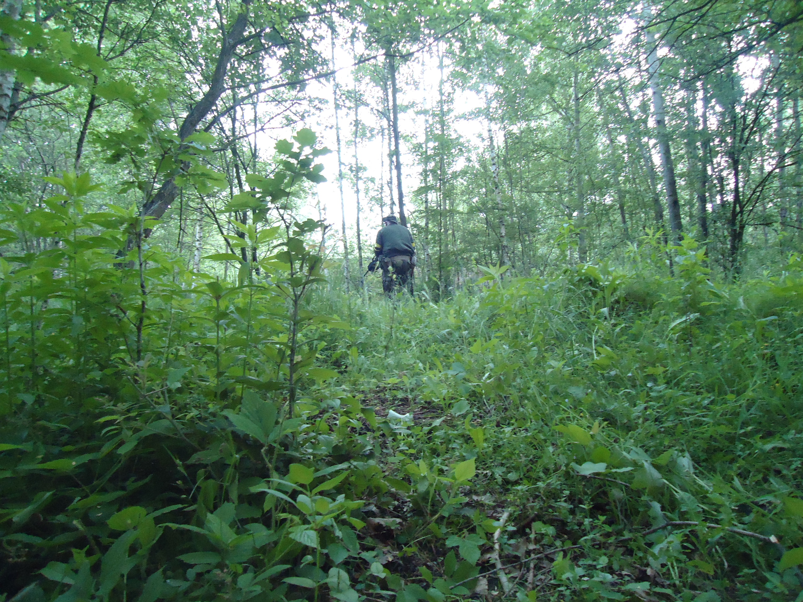 DSC01737